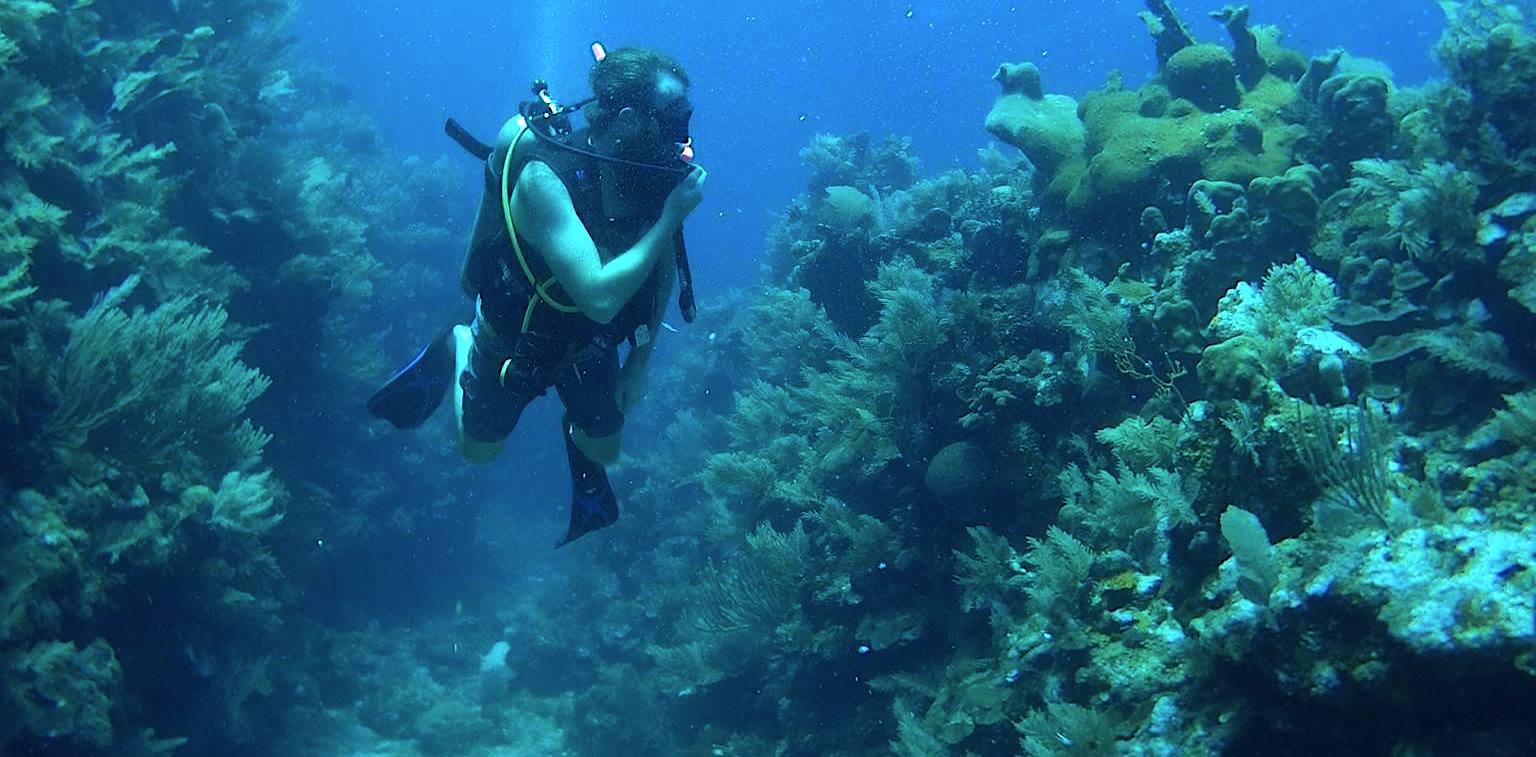Scuba diving in Roatán, Honduras